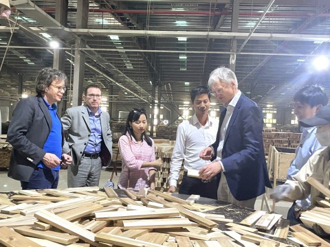 Đoàn chuyên gia Hà Lan về thăm nhà máy gỗ MDF và khảo sát hiện trường dự án DFCD