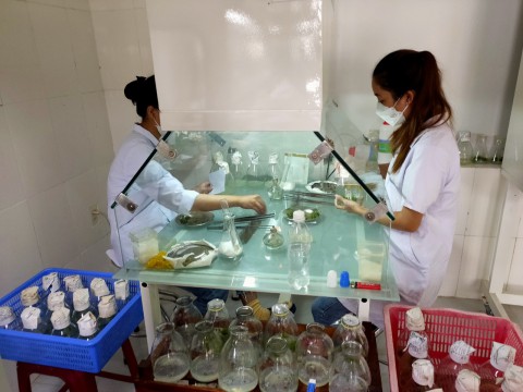 Quá trình nuôi cấy invitro