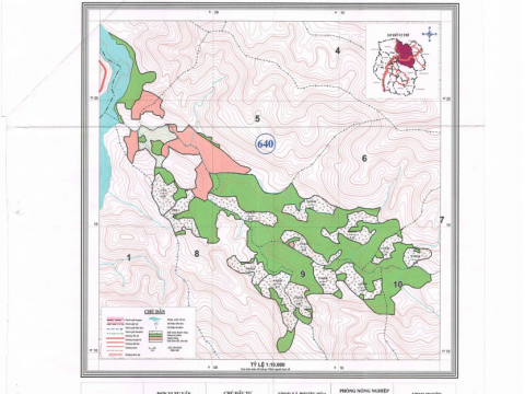 Large Timber Material Area in Phuoc Son