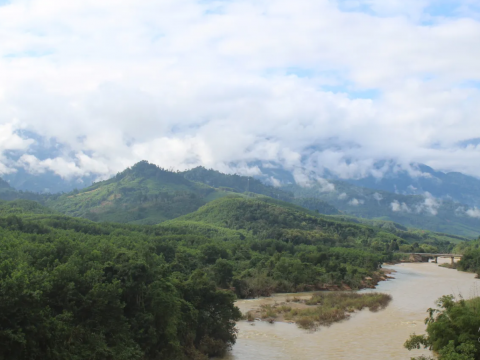 USAID Promotes Certified Timber, Improving Forest Management and Livelihoods in Vietnam