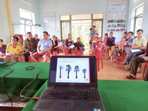 Green Annamites Program