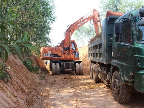 Nghe An: Lacking forestry roads, planting and harvesting acacia is difficult