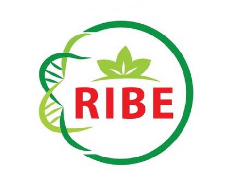 Research Institute of Biotechnology and Environment (RIBE)