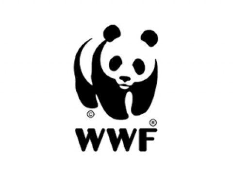 World Wide Fund for Nature (WWF)